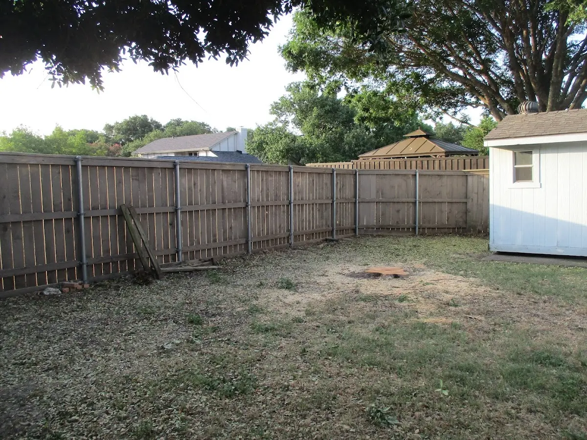 Cleared yard after professional tree removal in Wilkesboro